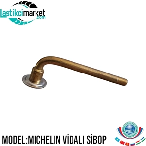 Mıchelin Sibop Vidalı (V302)